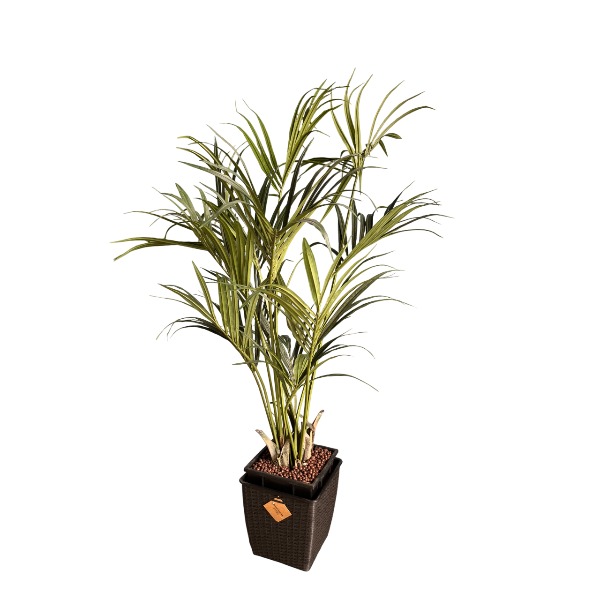 kunstpalm-huren-griekspoorfeestverhuur kunstpalm-huren-griekspoorfeestverhuur